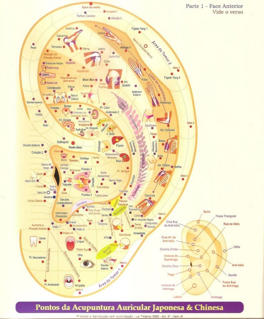 AURICULOTERAPIA OU AURICULOACUPUNTURA DEFINIÇÃO HISTÓRIA E FUNDAMENTOS Dr Jorge Costa